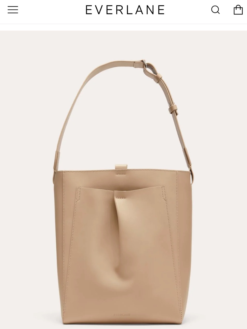 Everlane Taupe Leather The Studio Bag